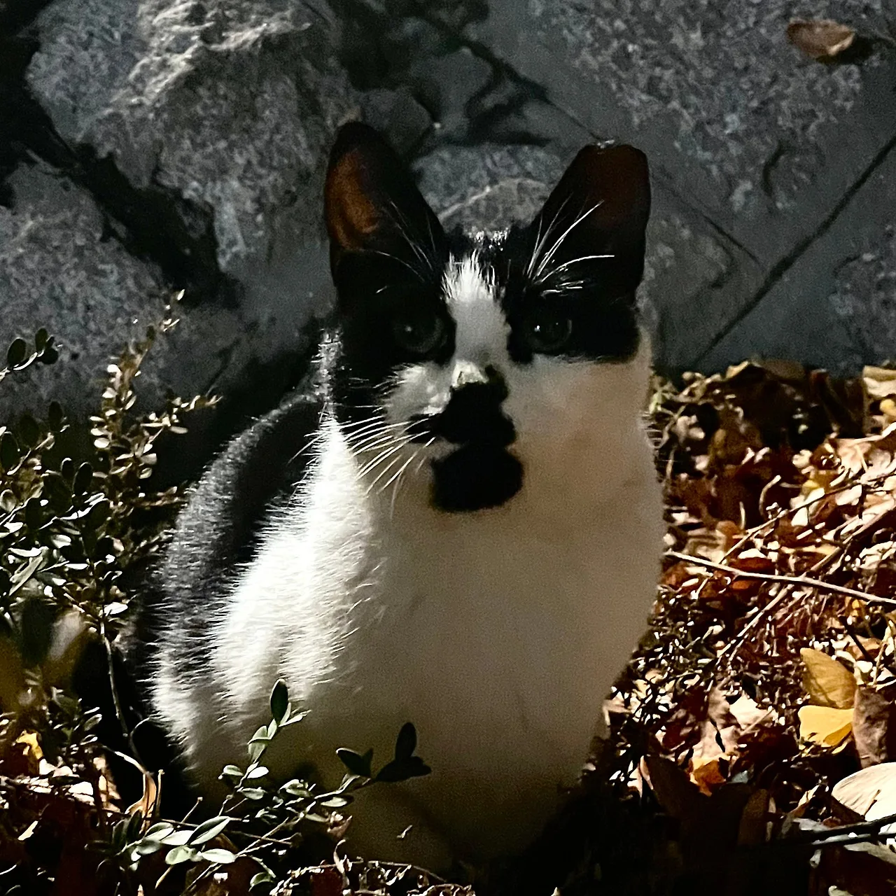 IMG%EF%BC%BF9782.jpg?type=w1600