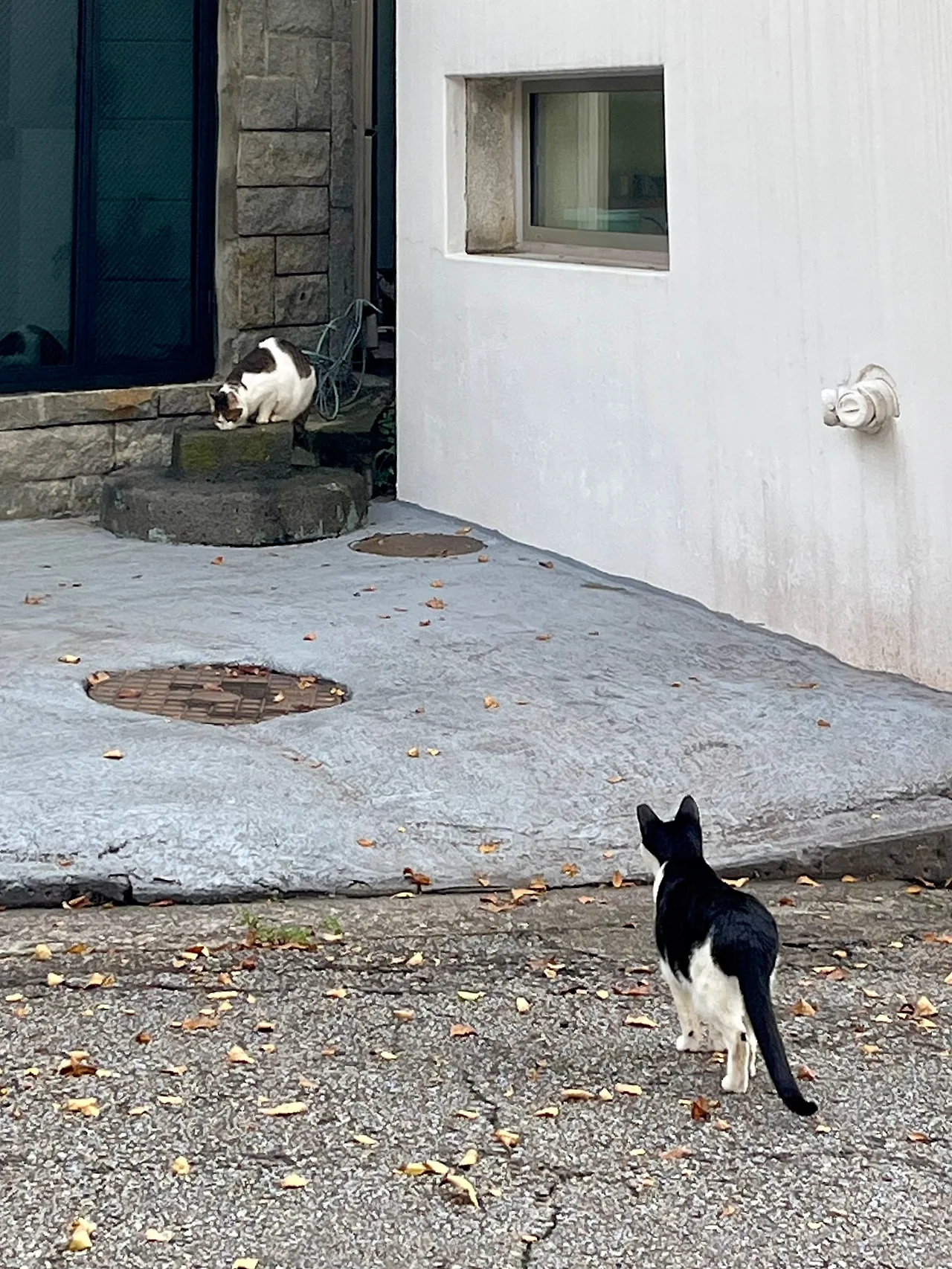 IMG%EF%BC%BF2274.jpg?type=w1600