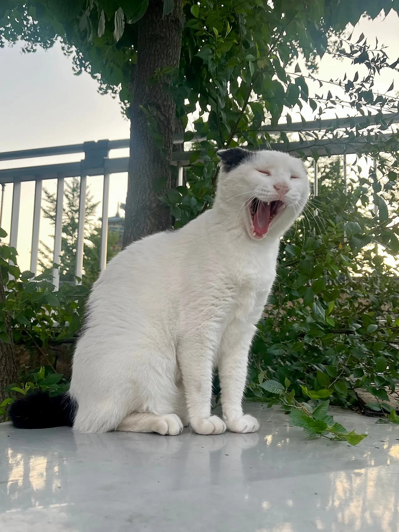 IMG%EF%BC%BF0912.jpg?type=w1600