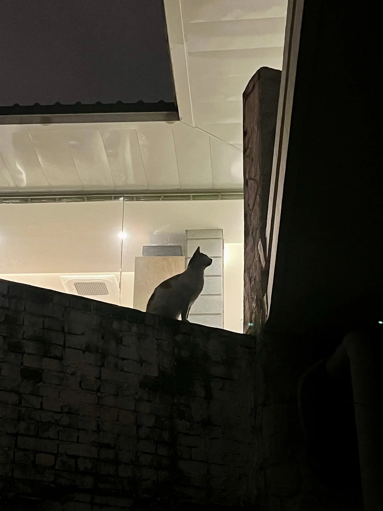 IMG%EF%BC%BF9051.jpg?type=w1600