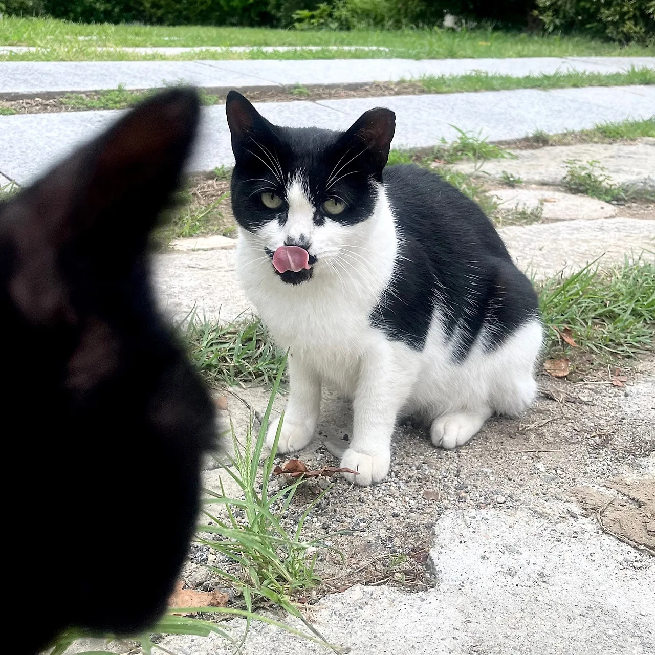 SE-01BED58A-3400-4154-8A54-EBA0F3BAEF02.jpg?type=w1600