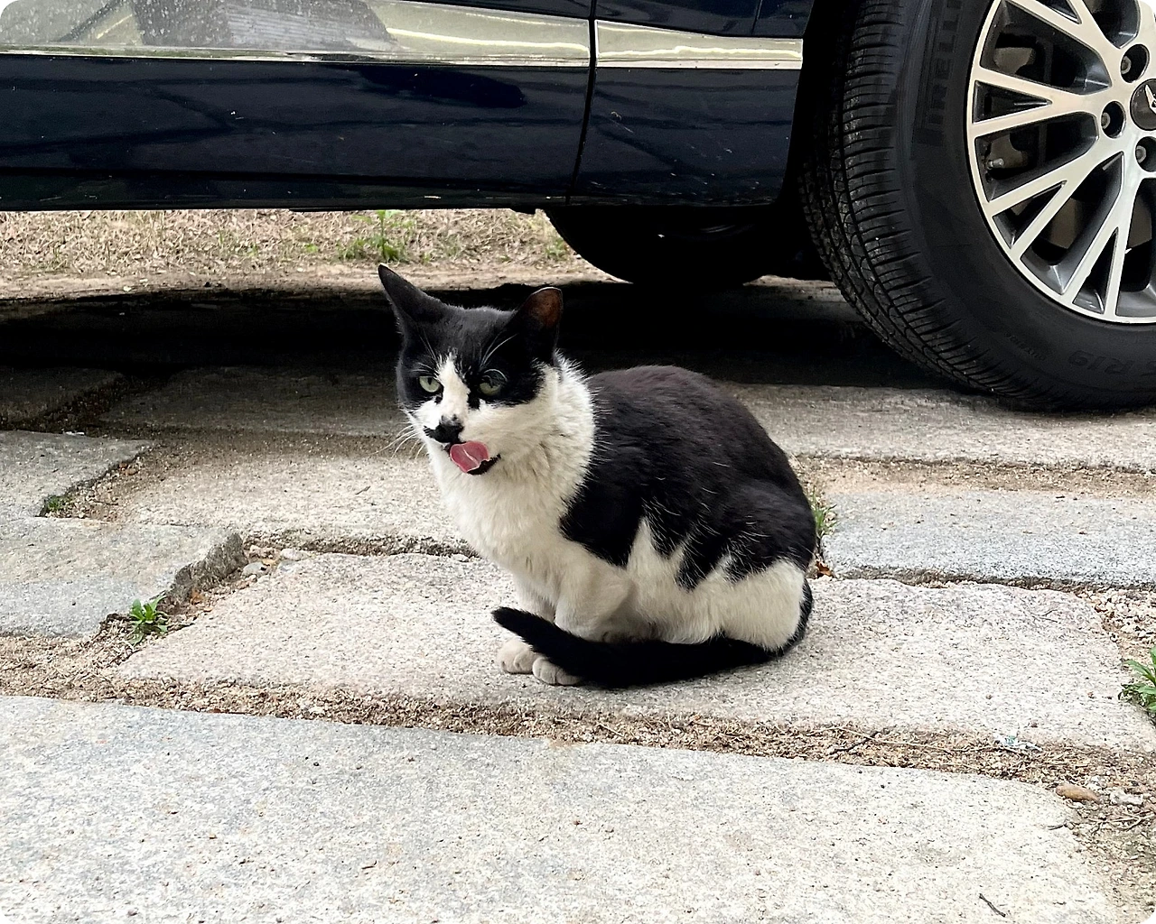 IMG_4647.jpg?type=w1600