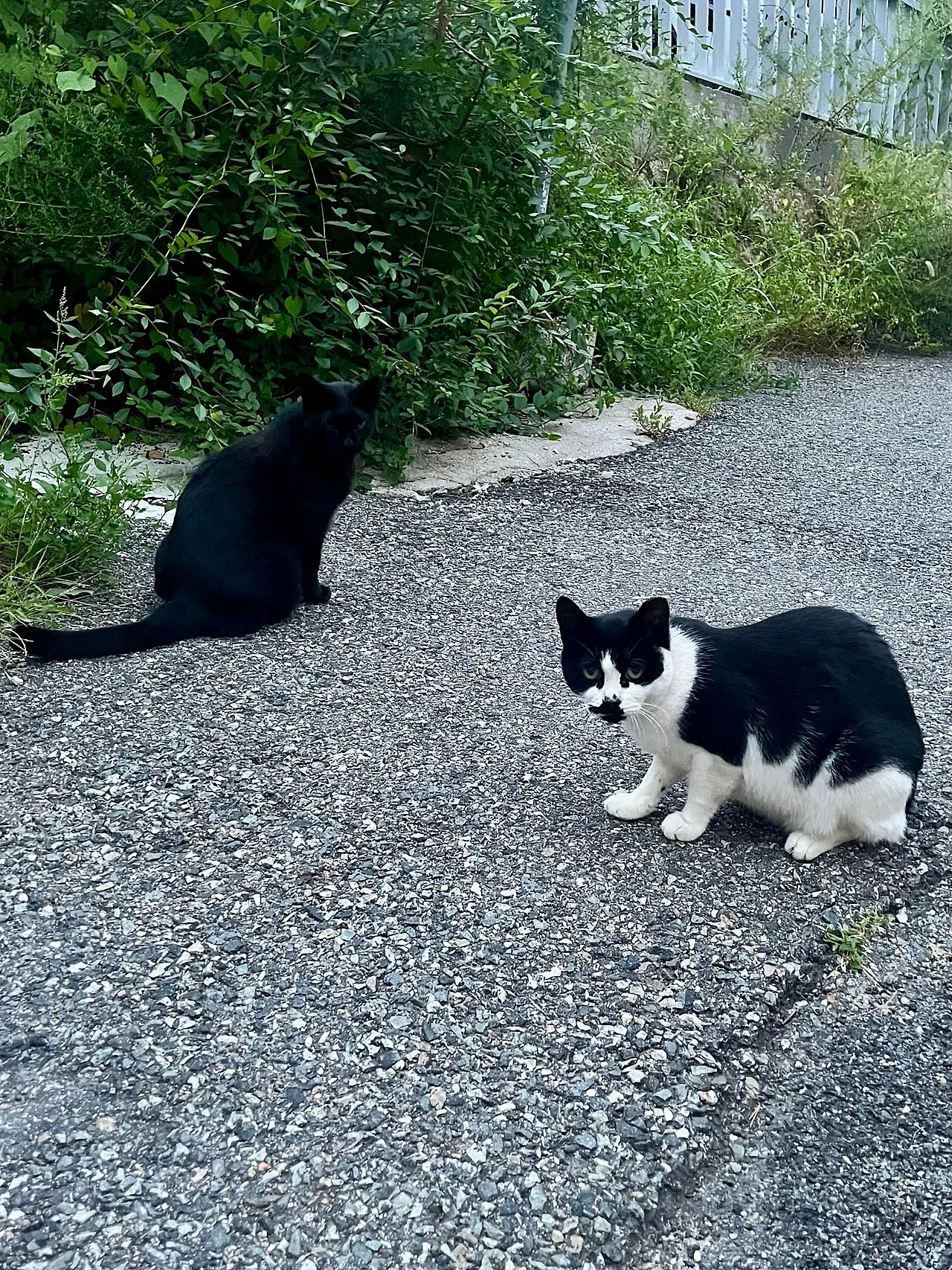 IMG%EF%BC%BF1095.jpg?type=w1600