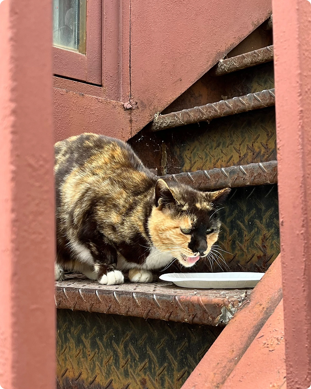 IMG_4344.jpg?type=w1600