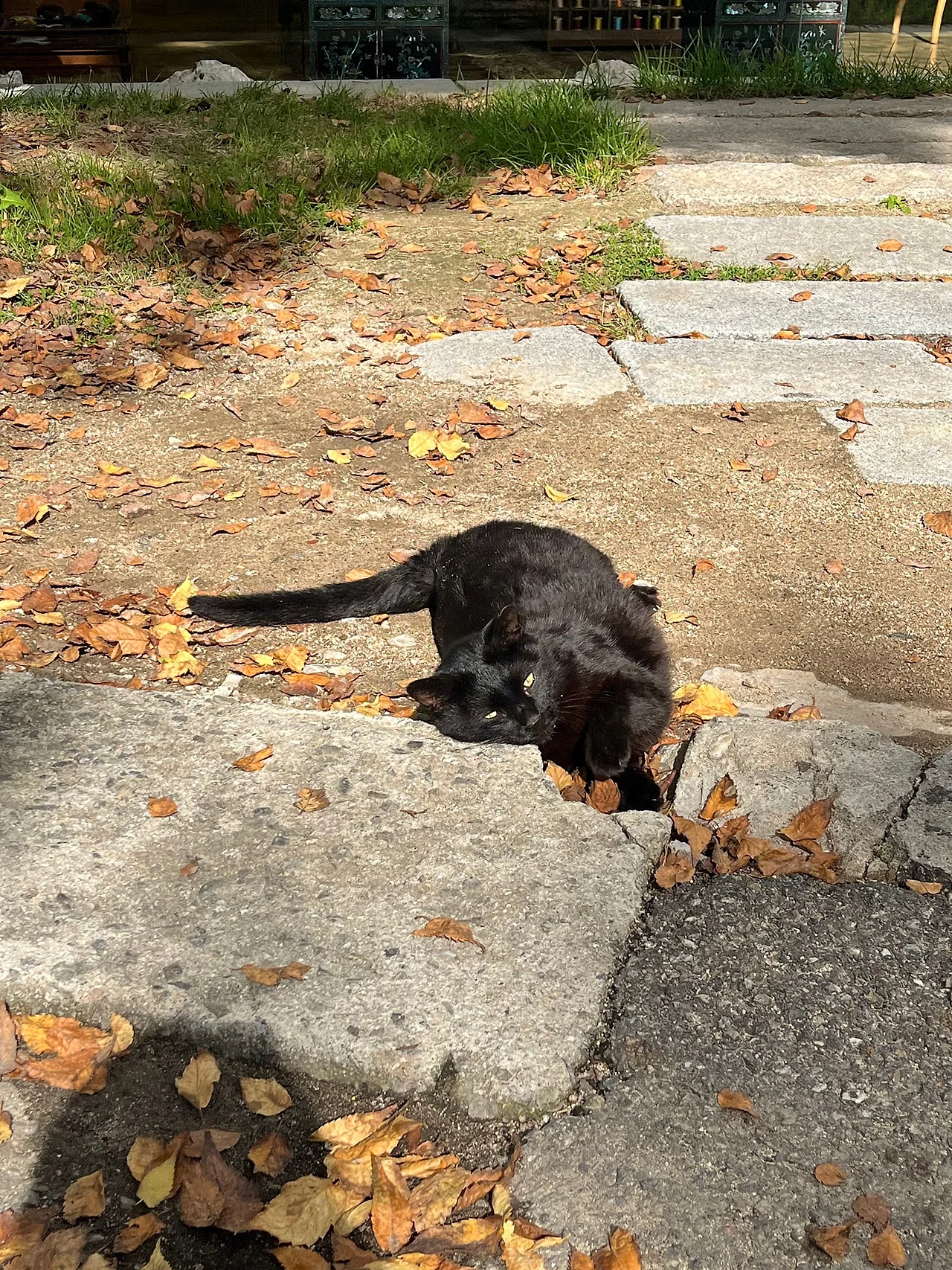 IMG%EF%BC%BF3270.jpg?type=w1600