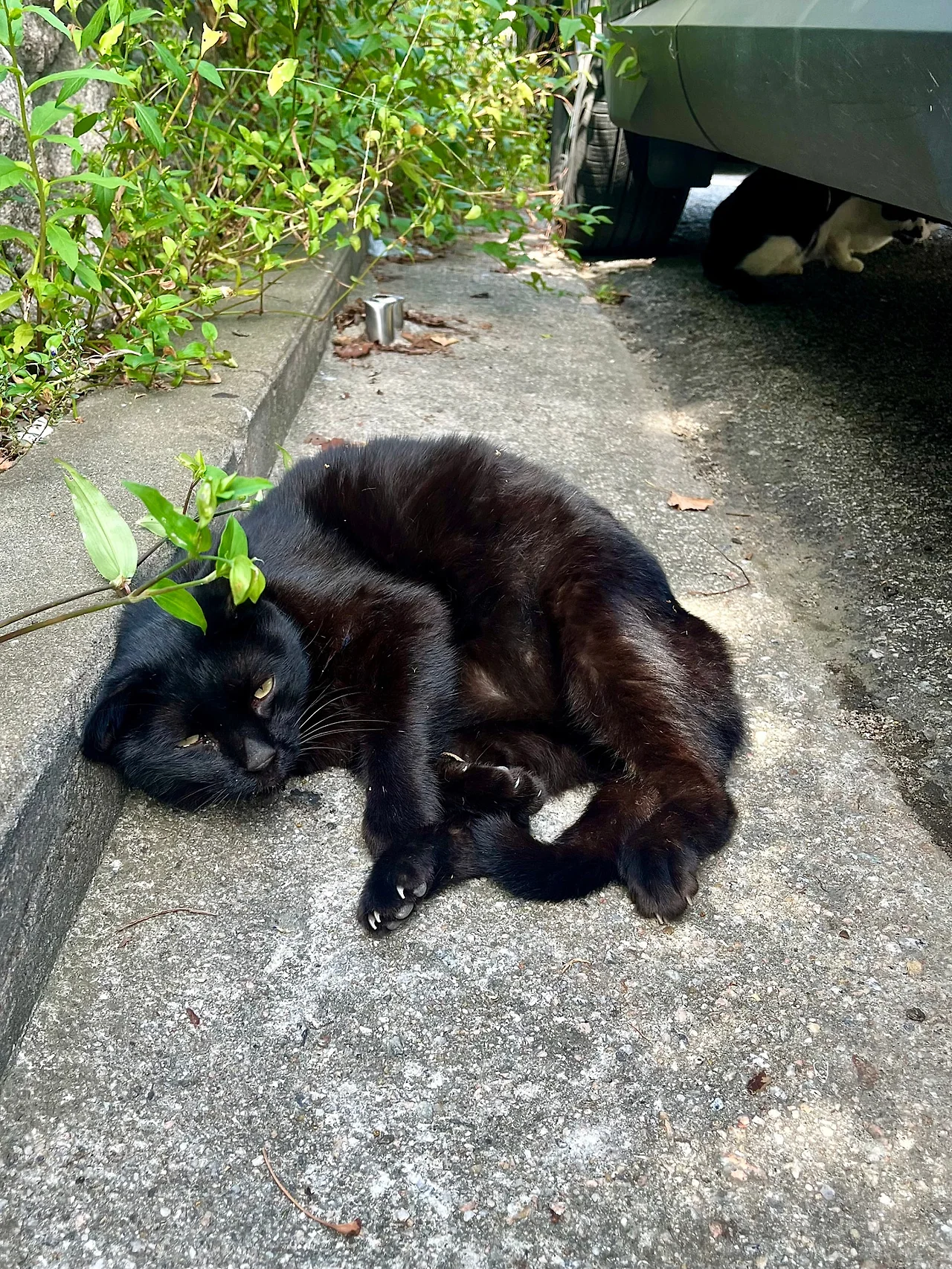 IMG%EF%BC%BF1544.jpg?type=w1600