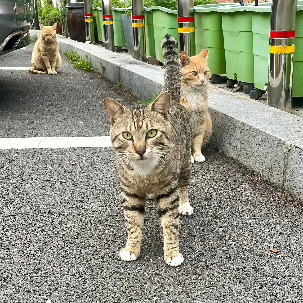 IMG%EF%BC%BF4247.jpg?type=w1600