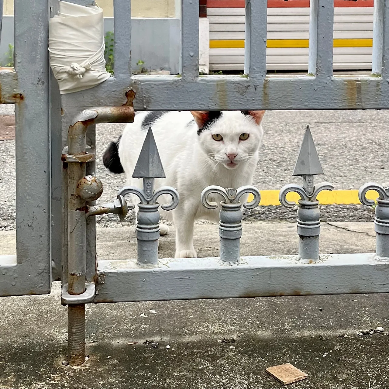 IMG%EF%BC%BF1799.jpg?type=w1600