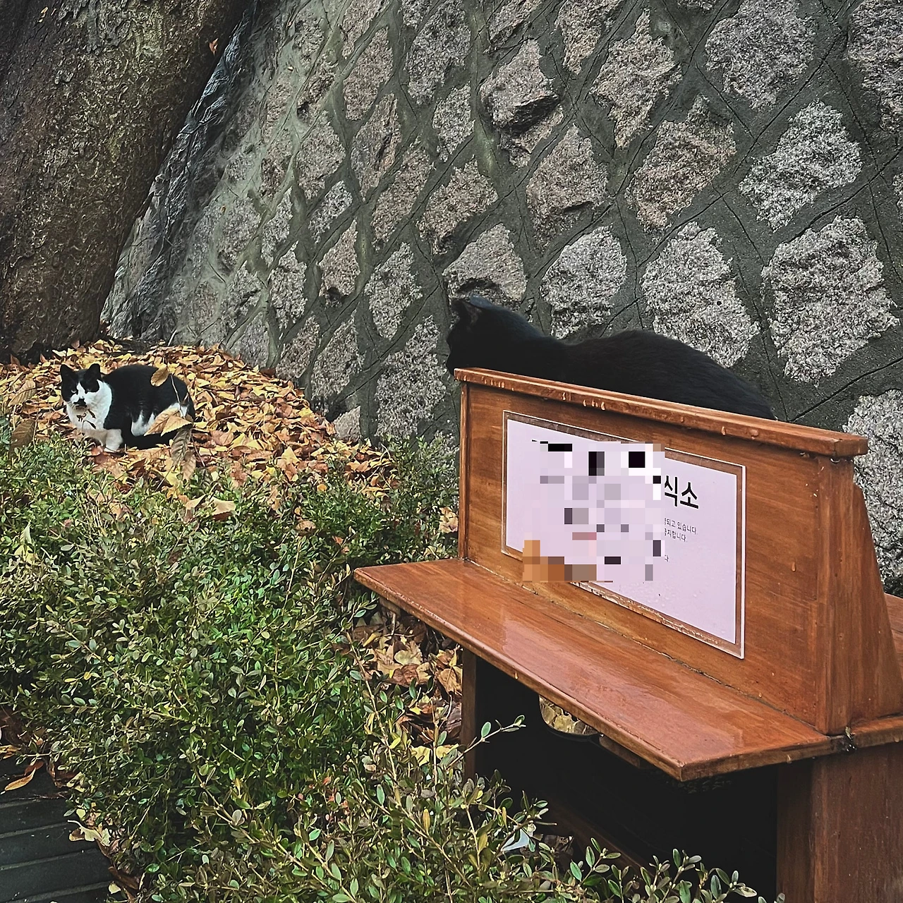 IMG%EF%BC%BF9320.jpg?type=w1600