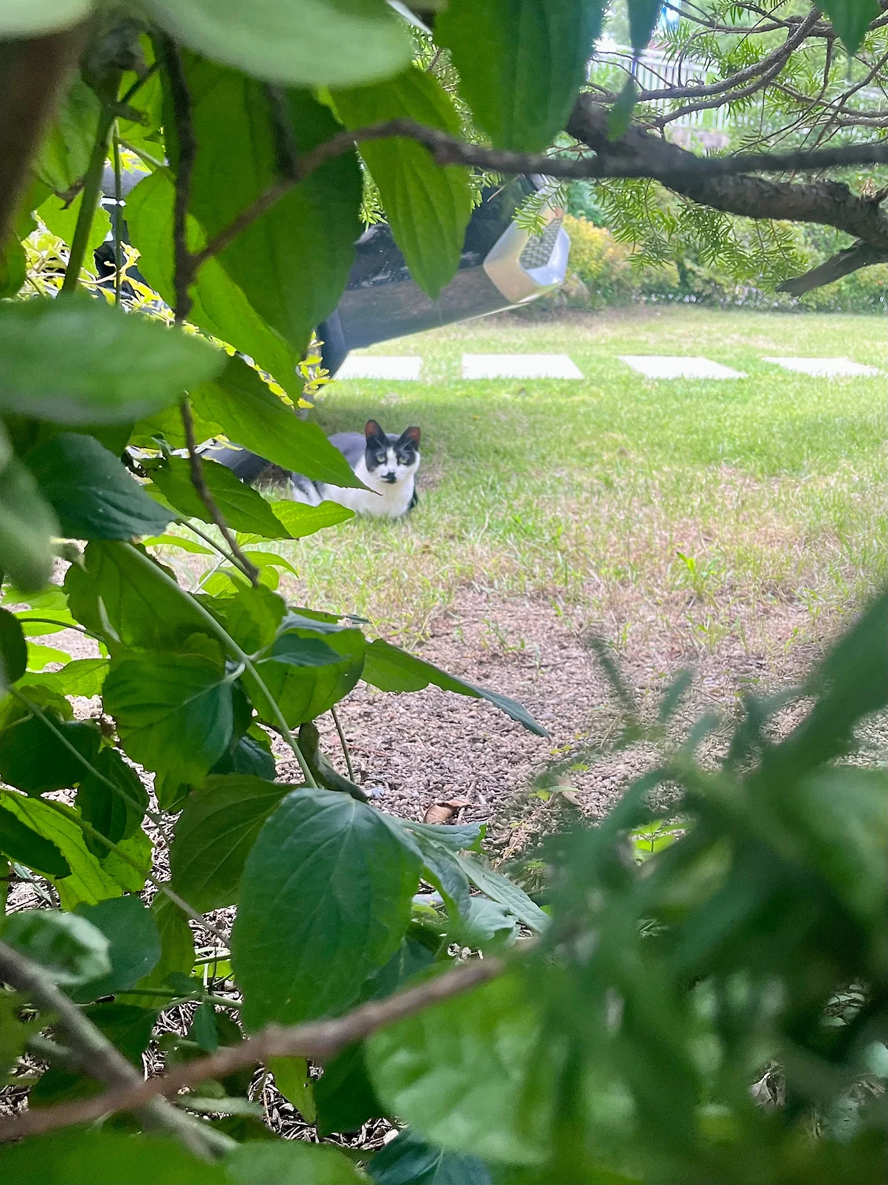 IMG%EF%BC%BF1998.jpg?type=w1600