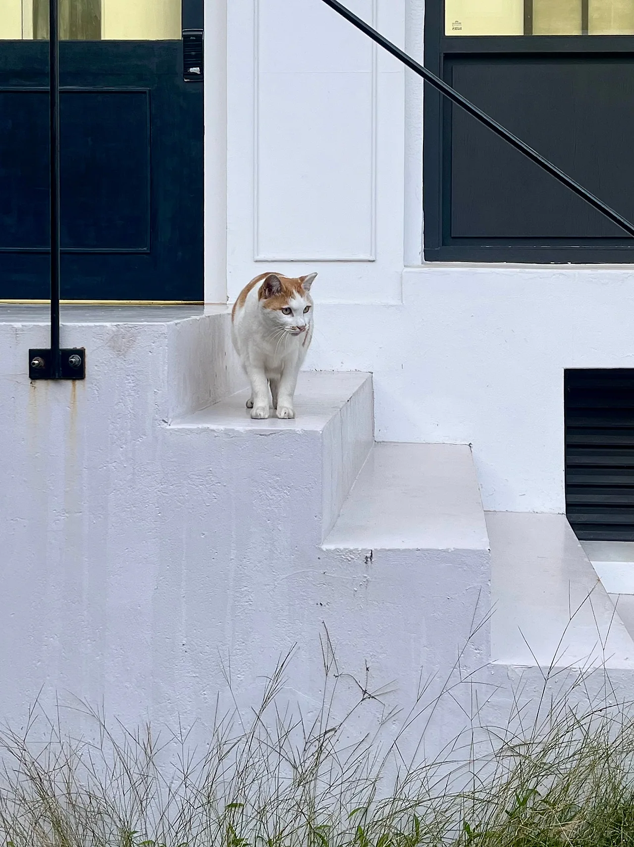 IMG%EF%BC%BF3619.jpg?type=w1600