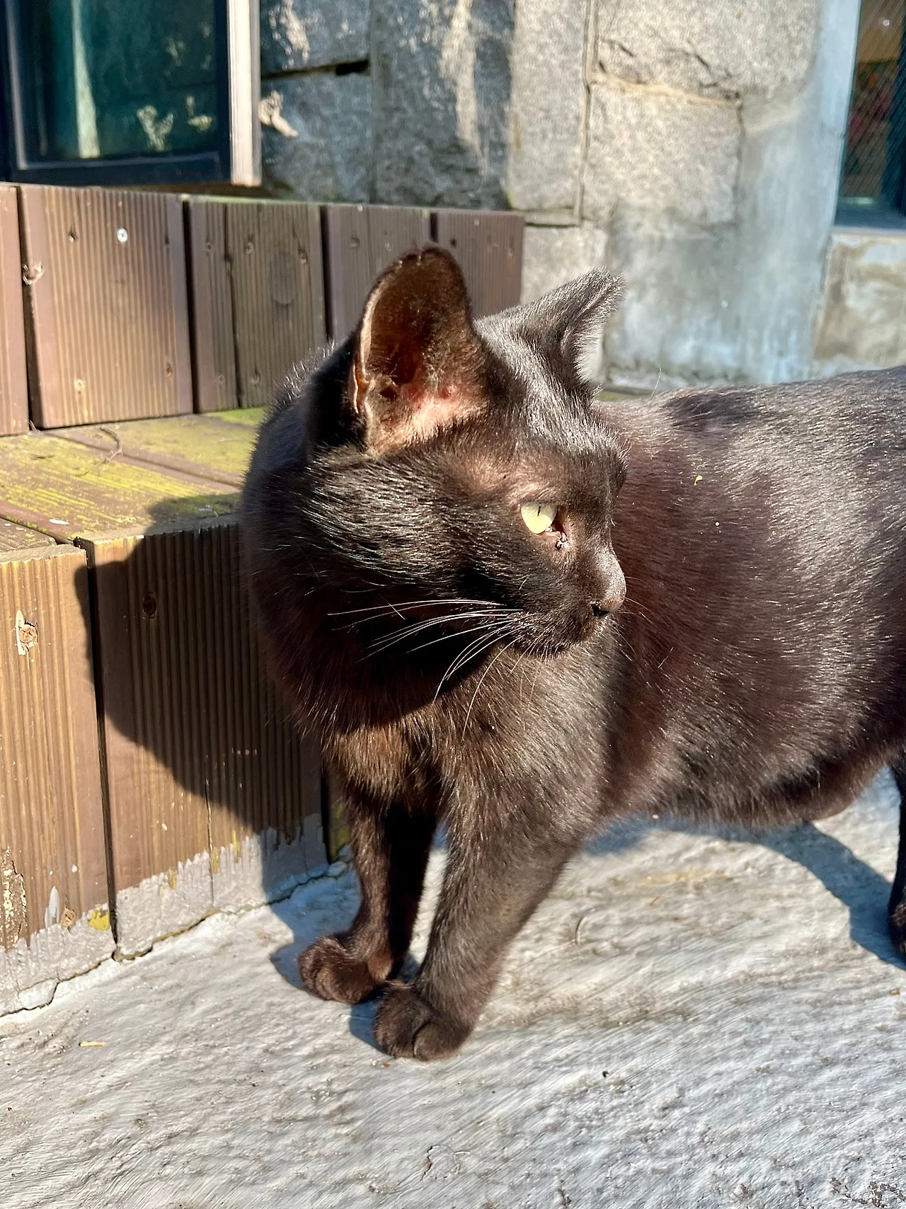 IMG%EF%BC%BF4204.jpg?type=w1600