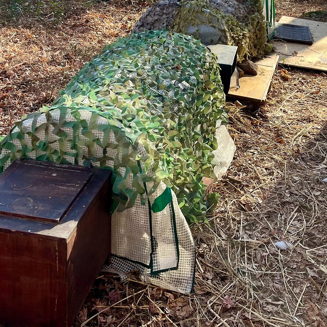 SE-8B21AEF7-DCE8-46F9-9F6F-01E3FFBA5B1B.jpg?type=w1600