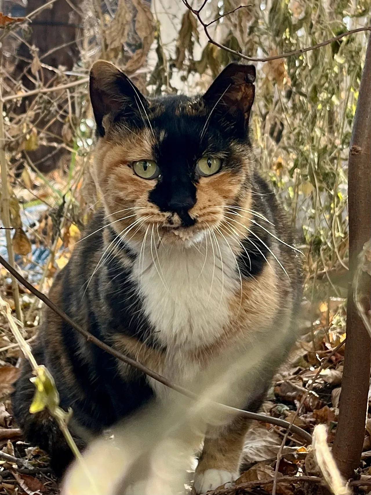 IMG%EF%BC%BF9175.jpg?type=w1600