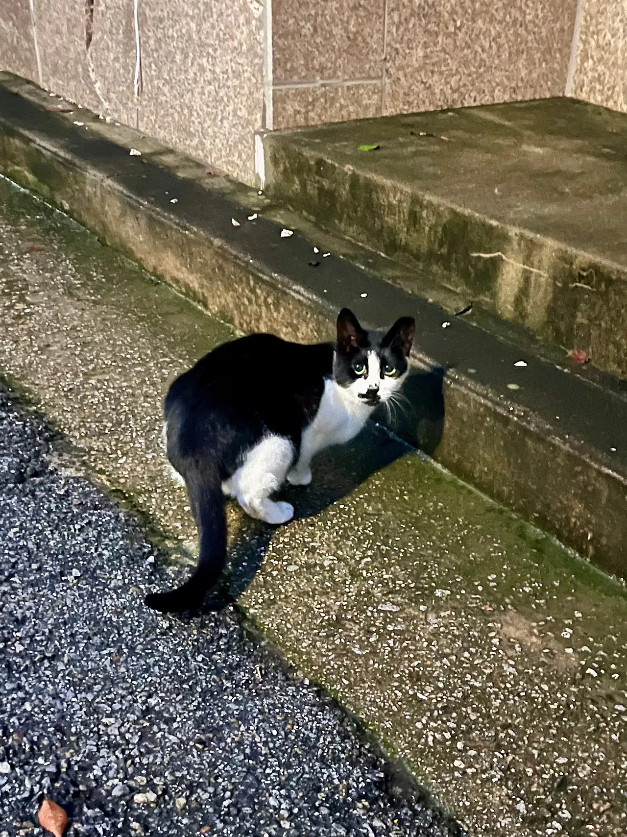 IMG%EF%BC%BF1687.jpg?type=w1600