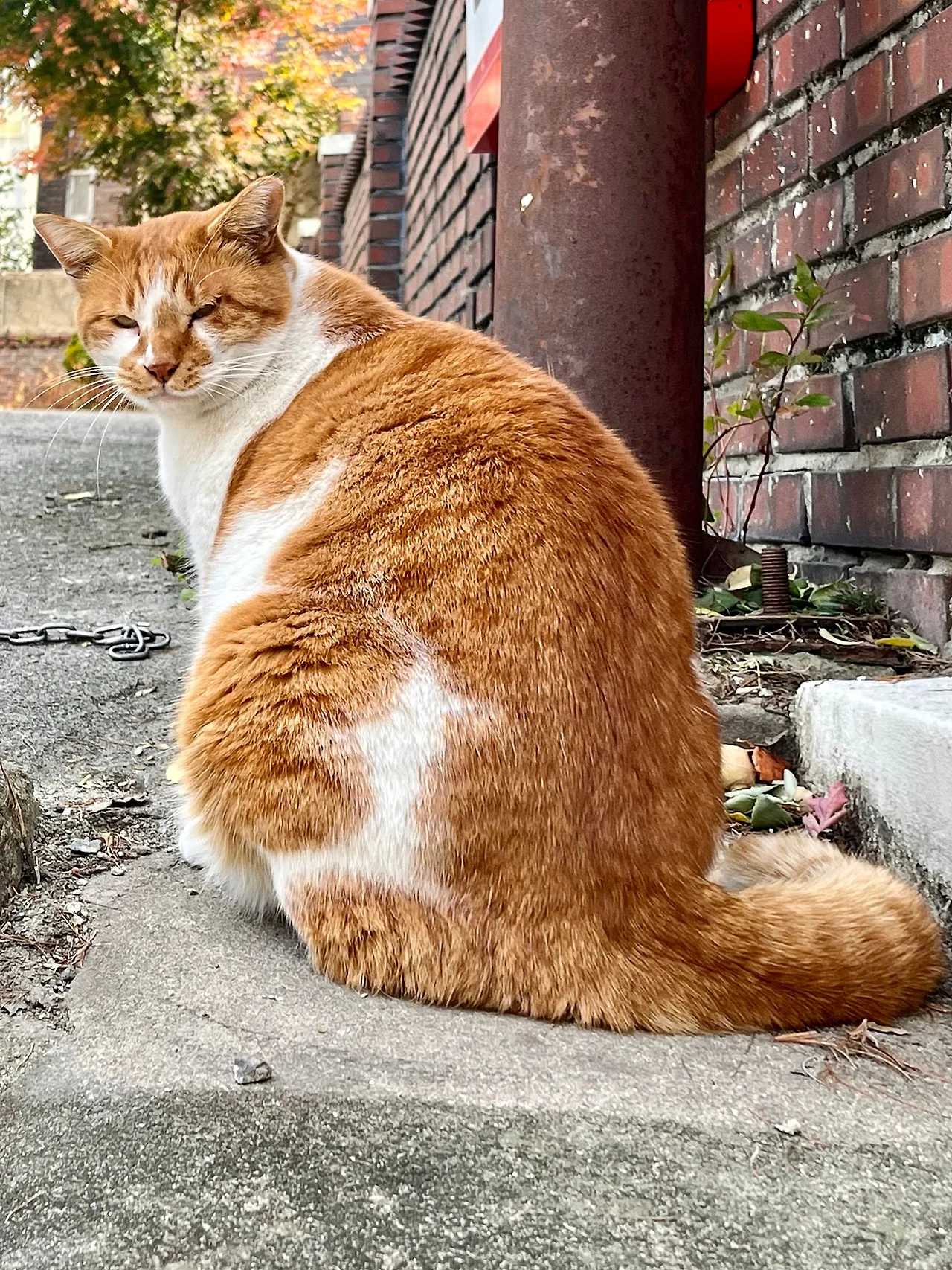 IMG%EF%BC%BF5049.jpg?type=w1600