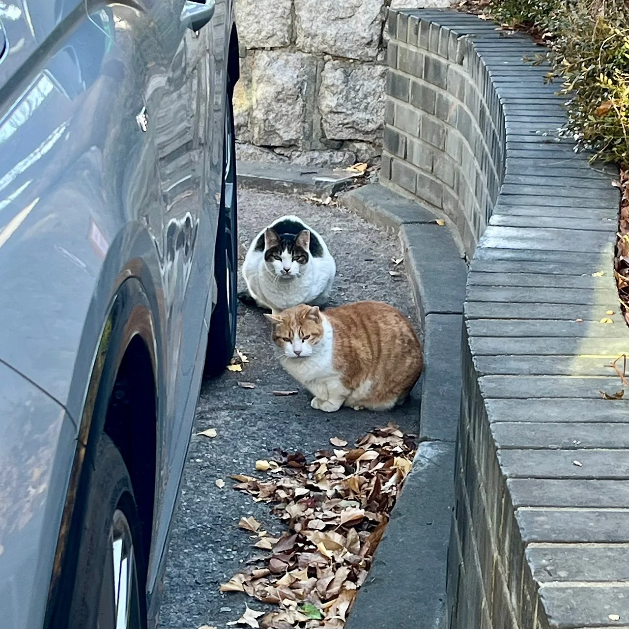 IMG%EF%BC%BF0029.jpg?type=w1600