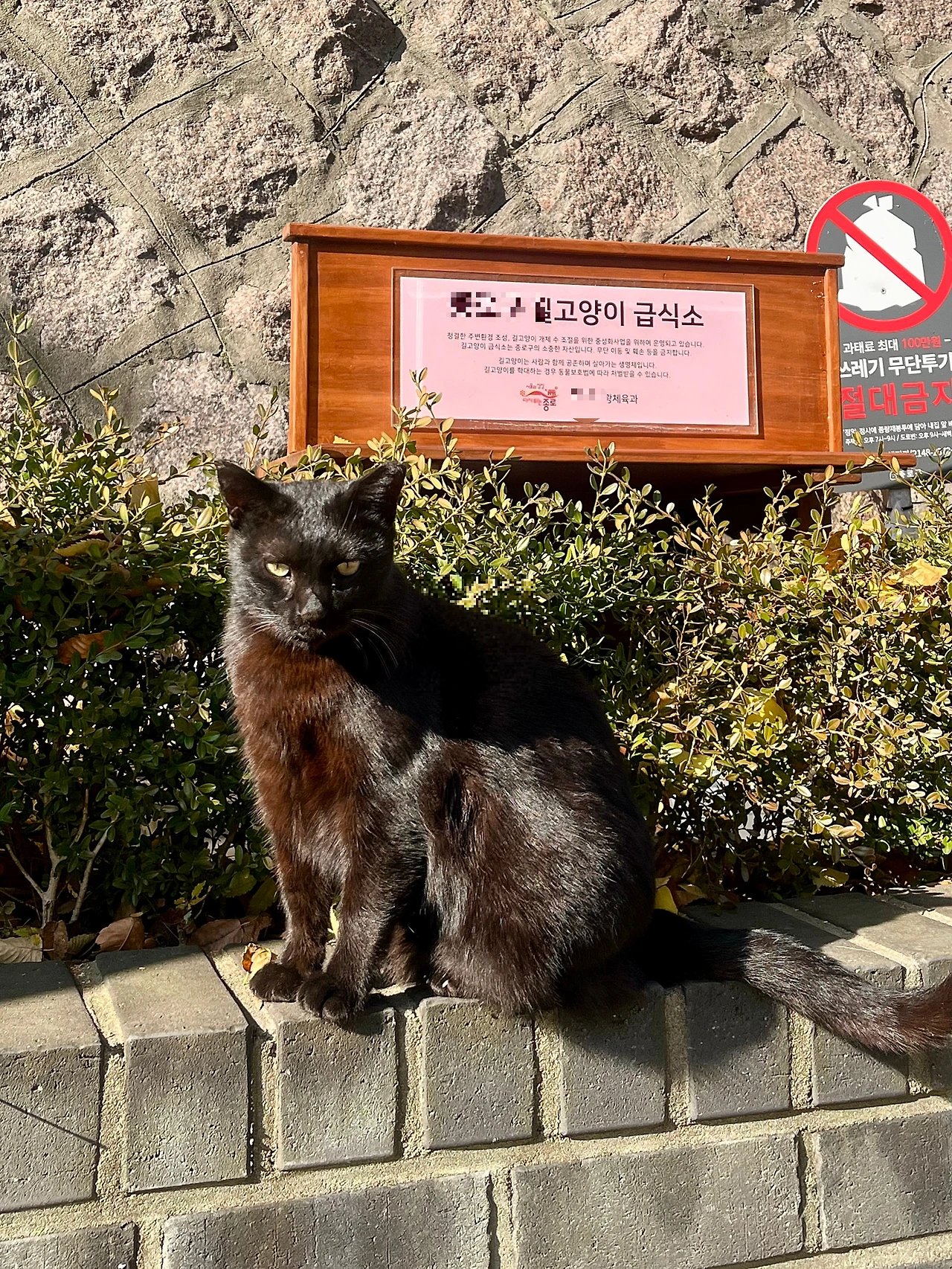 IMG%EF%BC%BF4960.jpg?type=w1600