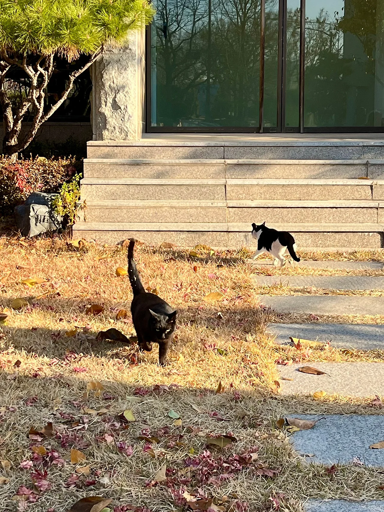 IMG%EF%BC%BF8556.jpg?type=w1600