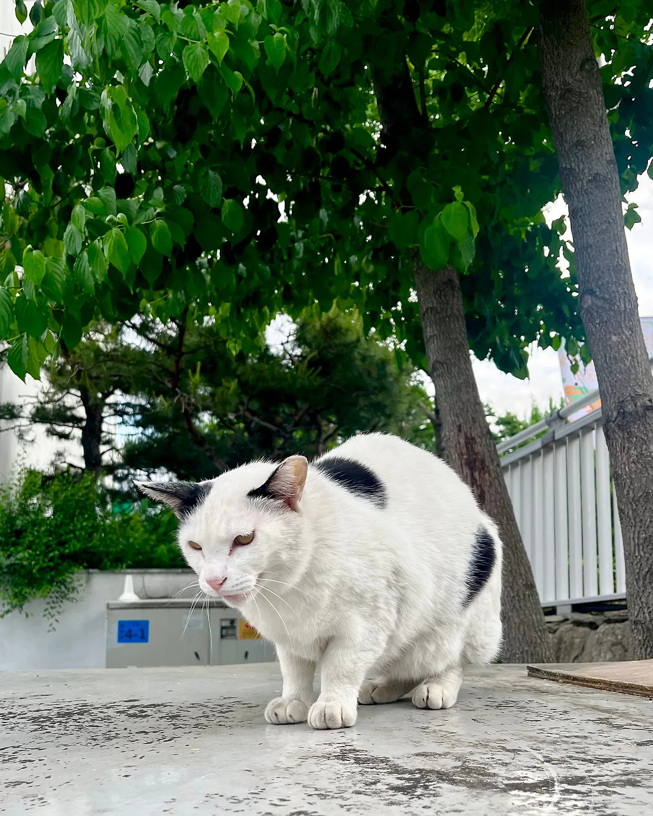 IMG_4756.jpg?type=w1600