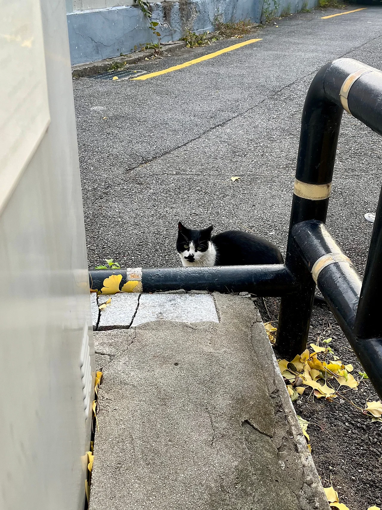 IMG%EF%BC%BF5569.jpg?type=w1600