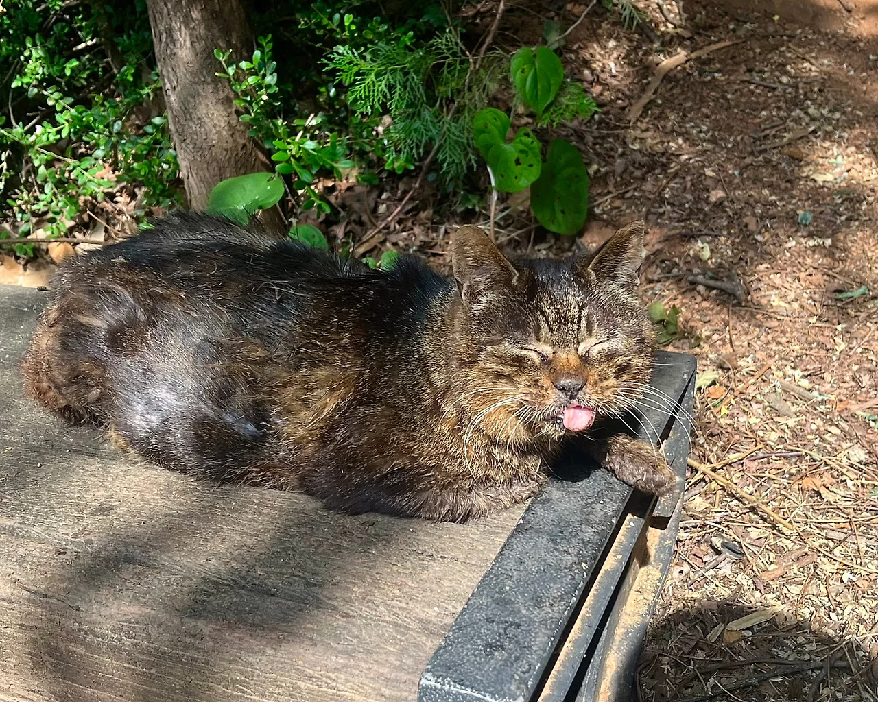 IMG%EF%BC%BF5855.jpg?type=w1600