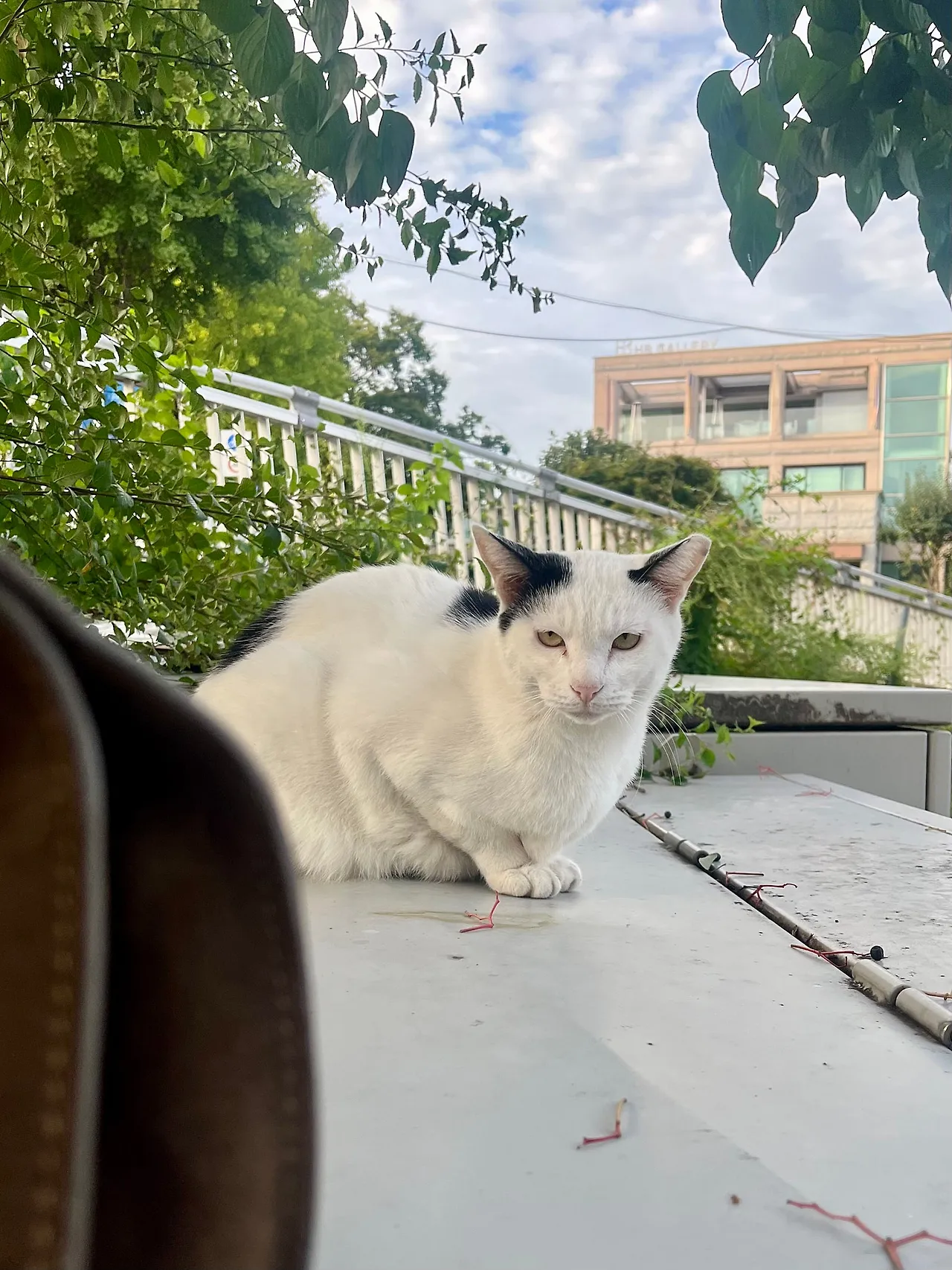 IMG%EF%BC%BF1889.jpg?type=w1600