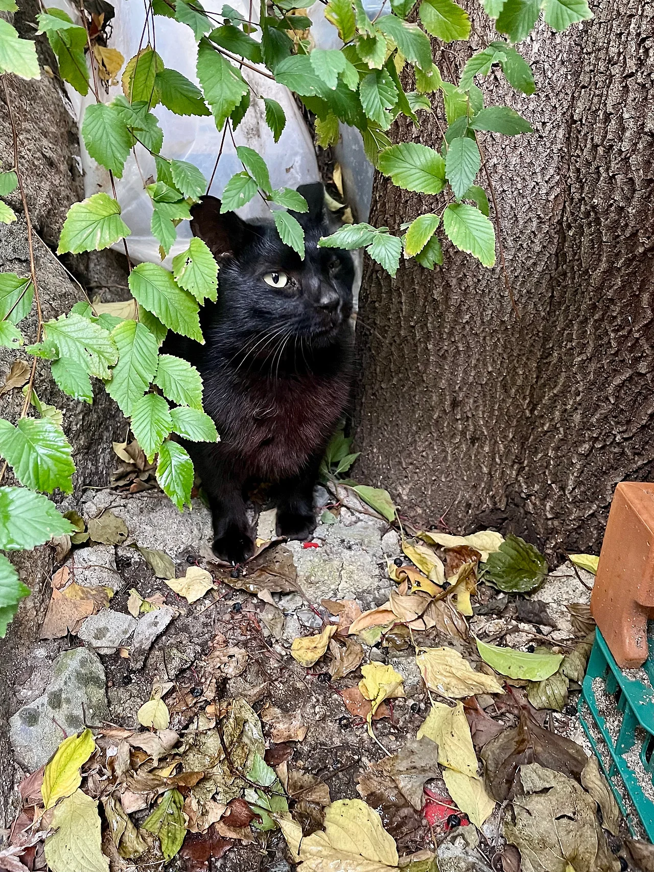 IMG%EF%BC%BF3864.jpg?type=w1600