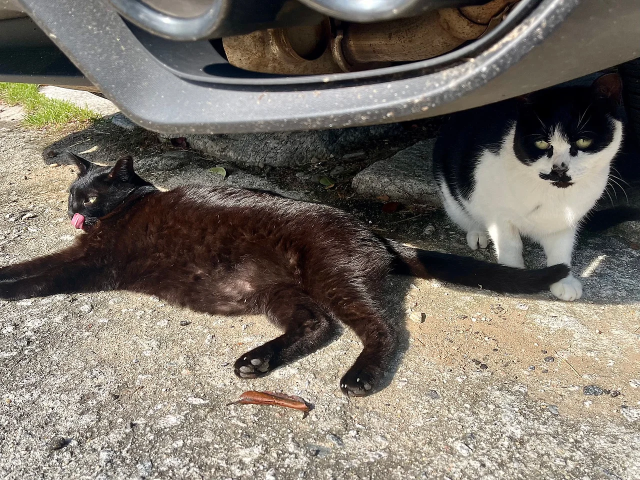 IMG%EF%BC%BF3403.jpg?type=w1600