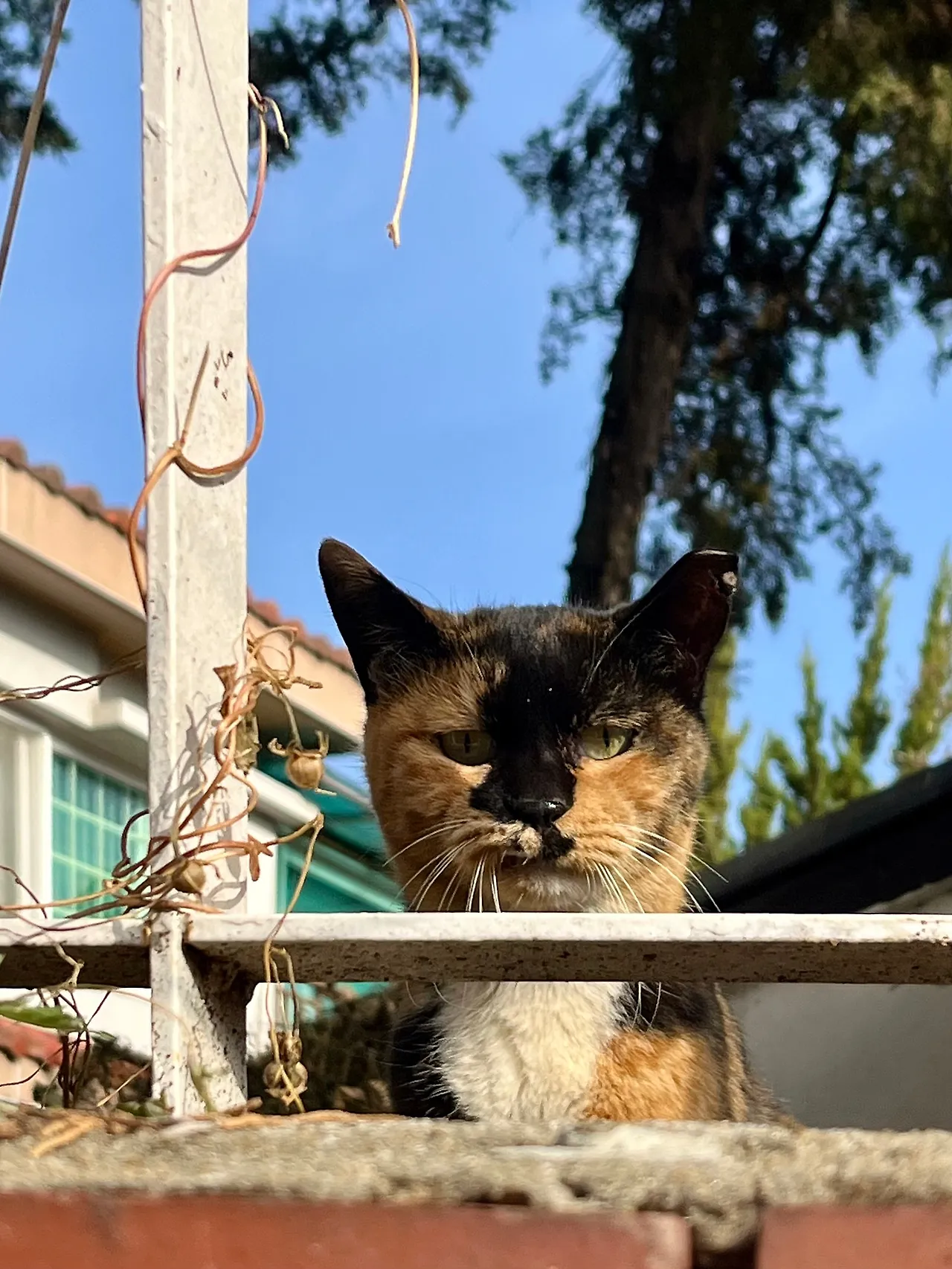 IMG%EF%BC%BF8790.jpg?type=w1600