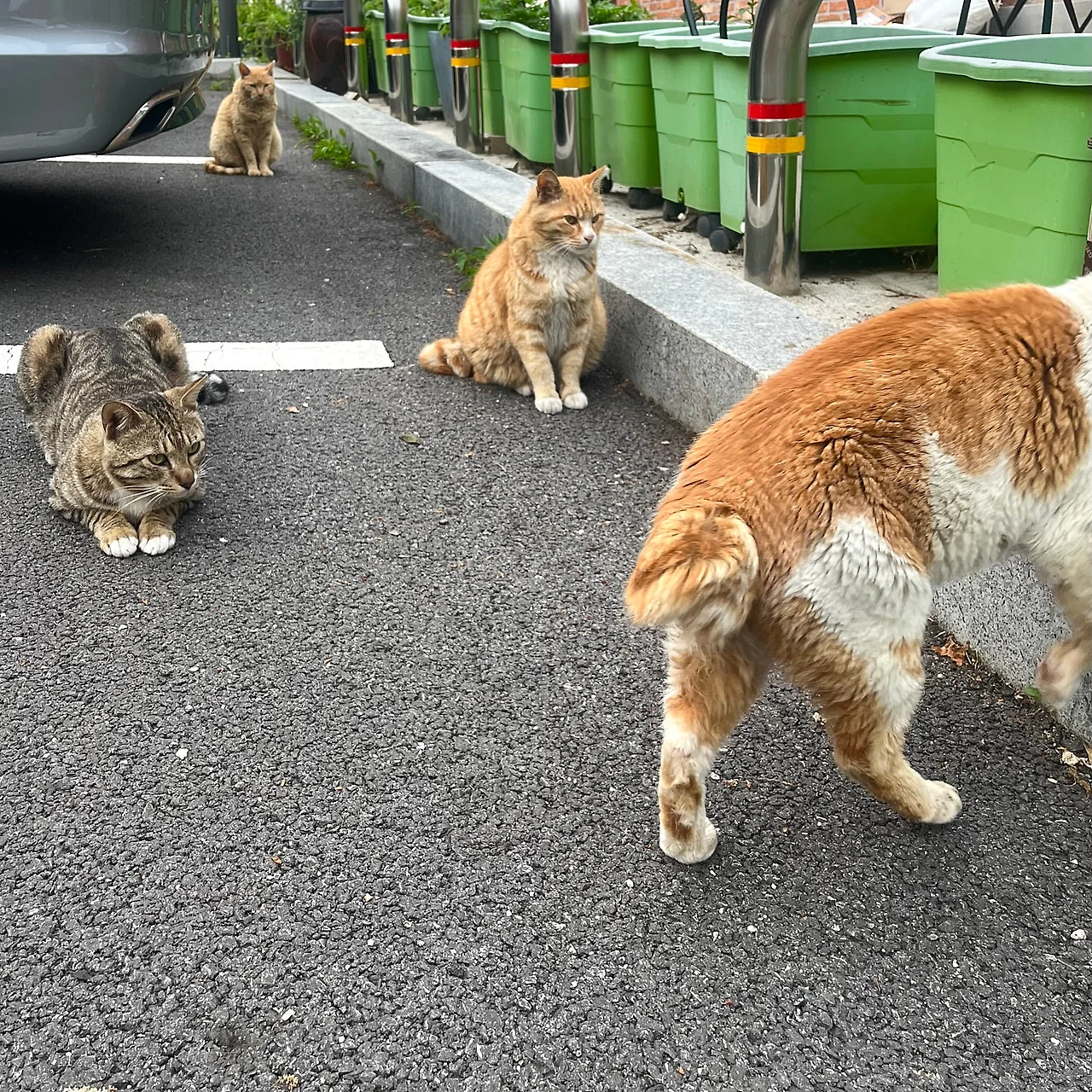 IMG%EF%BC%BF4248.jpg?type=w1600