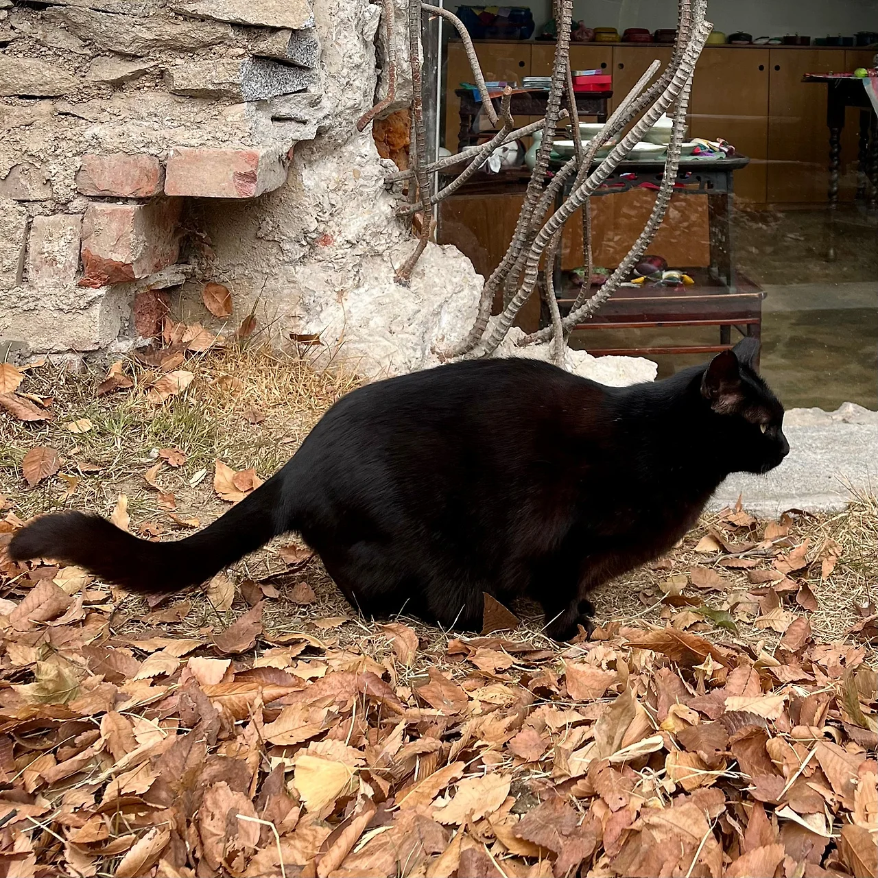 IMG%EF%BC%BF9694.jpg?type=w1600