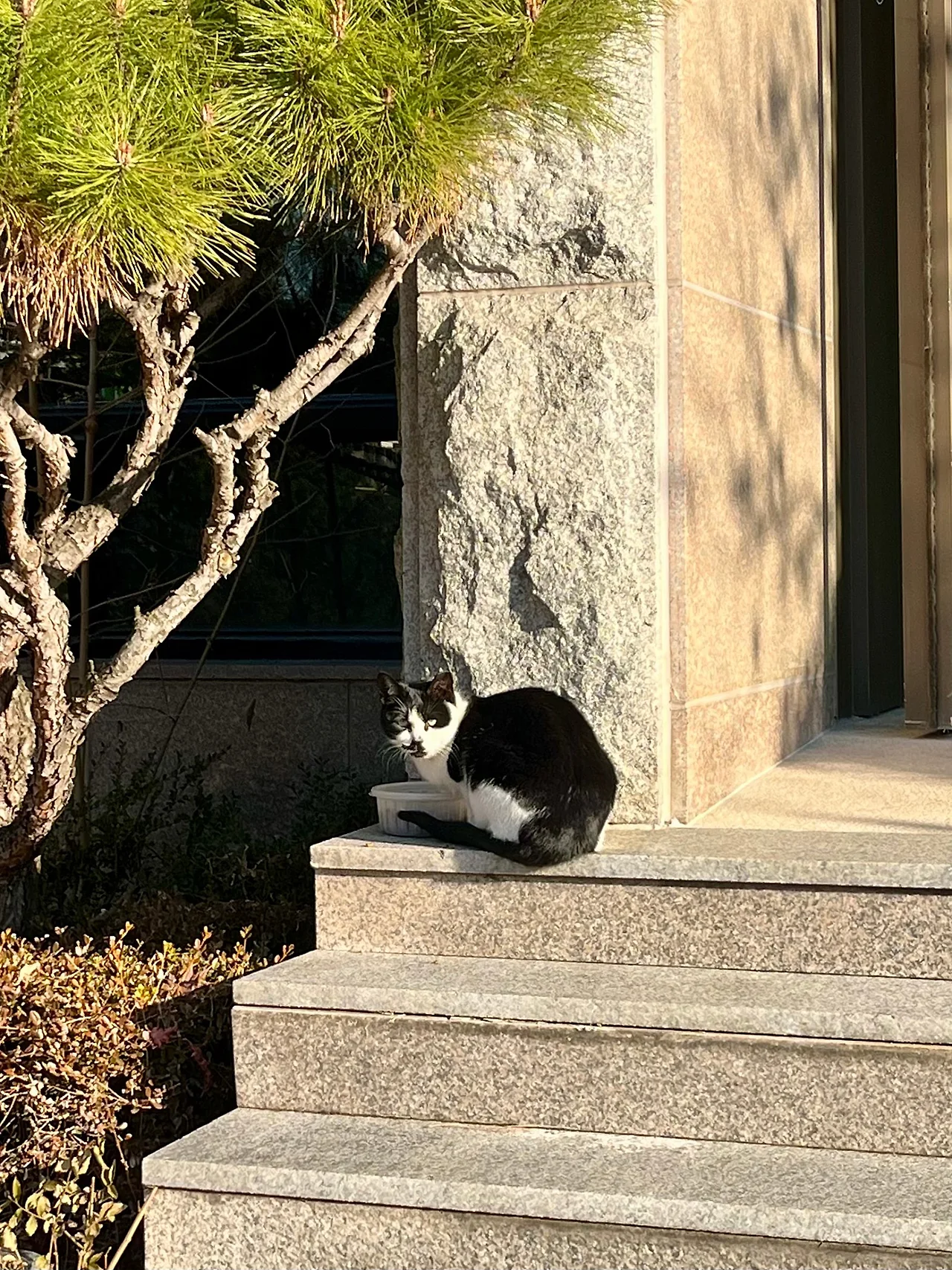 IMG%EF%BC%BF8930.jpg?type=w1600