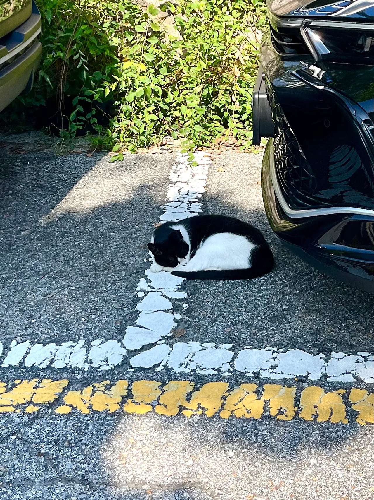 IMG%EF%BC%BF0001.jpg?type=w1600