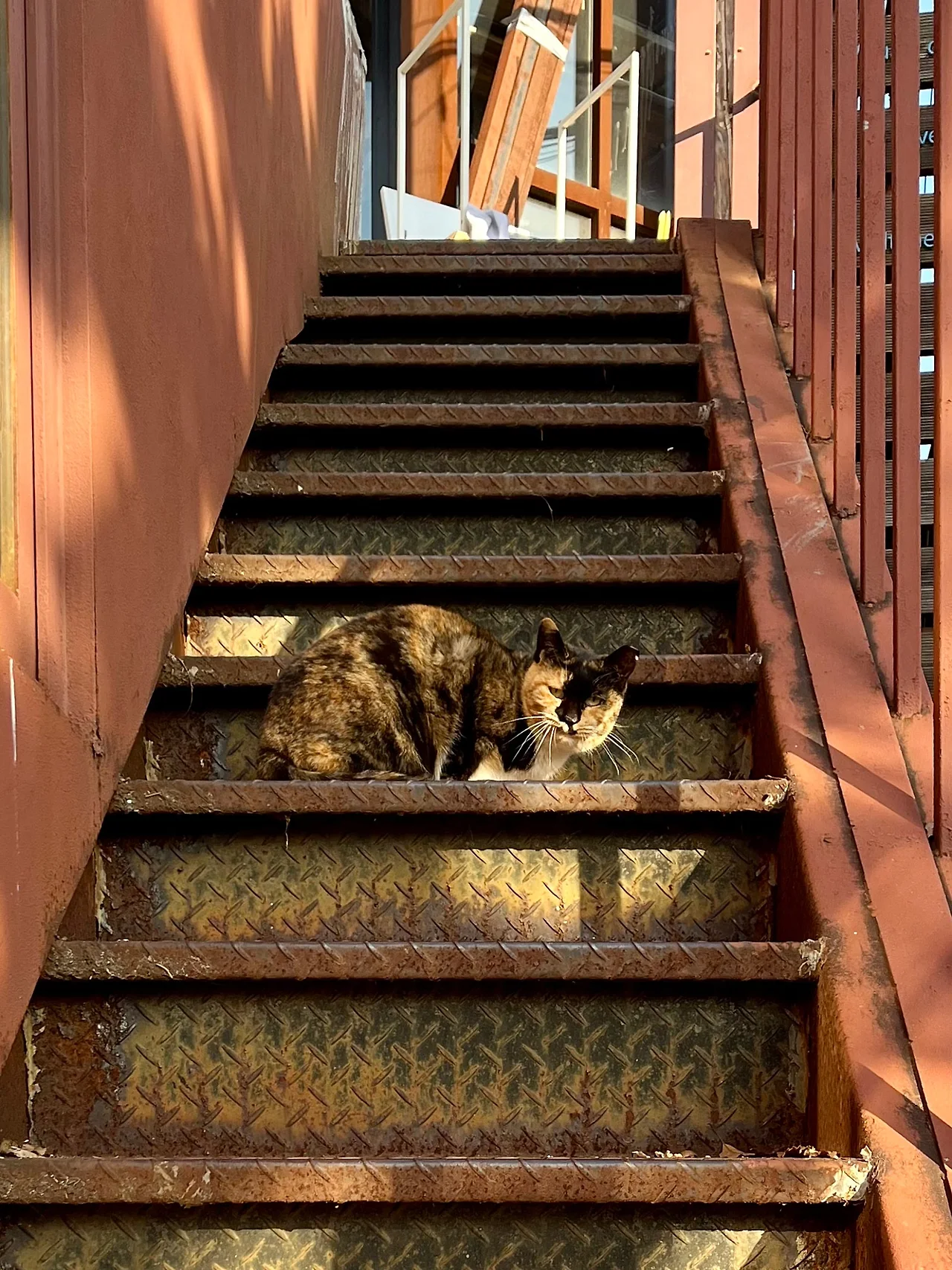 IMG%EF%BC%BF0934.jpg?type=w1600