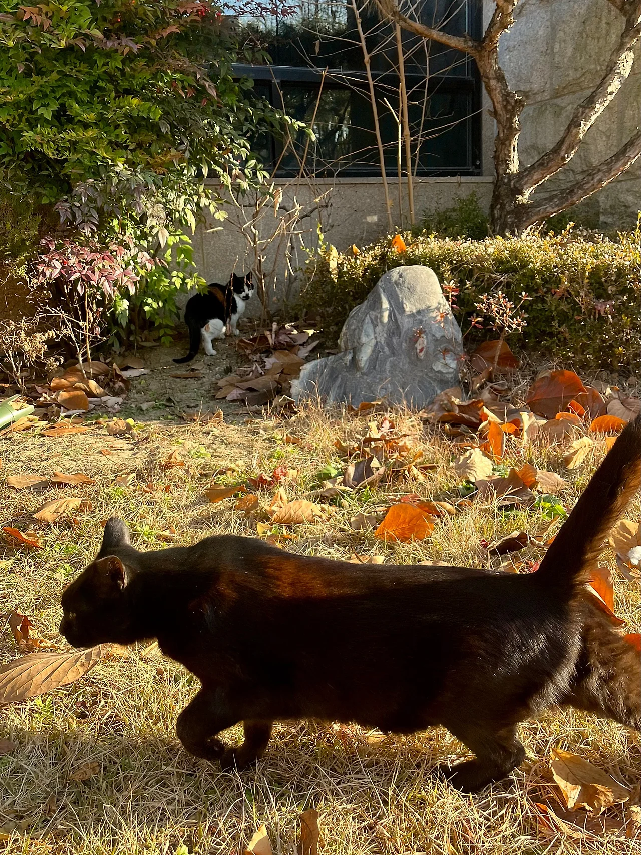 IMG%EF%BC%BF8943.jpg?type=w1600