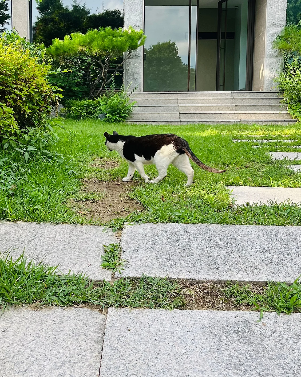 IMG%EF%BC%BF7101.jpg?type=w1600