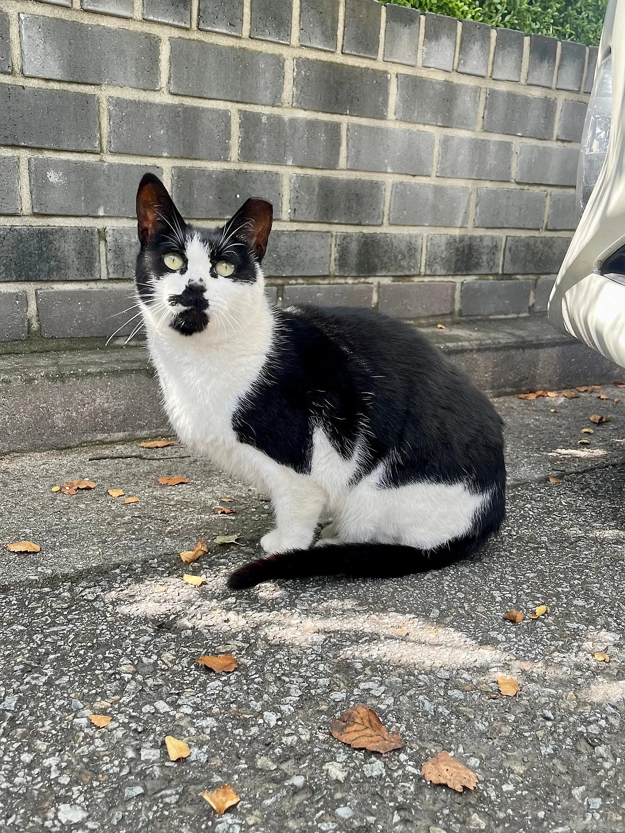 IMG%EF%BC%BF2320.jpg?type=w1600