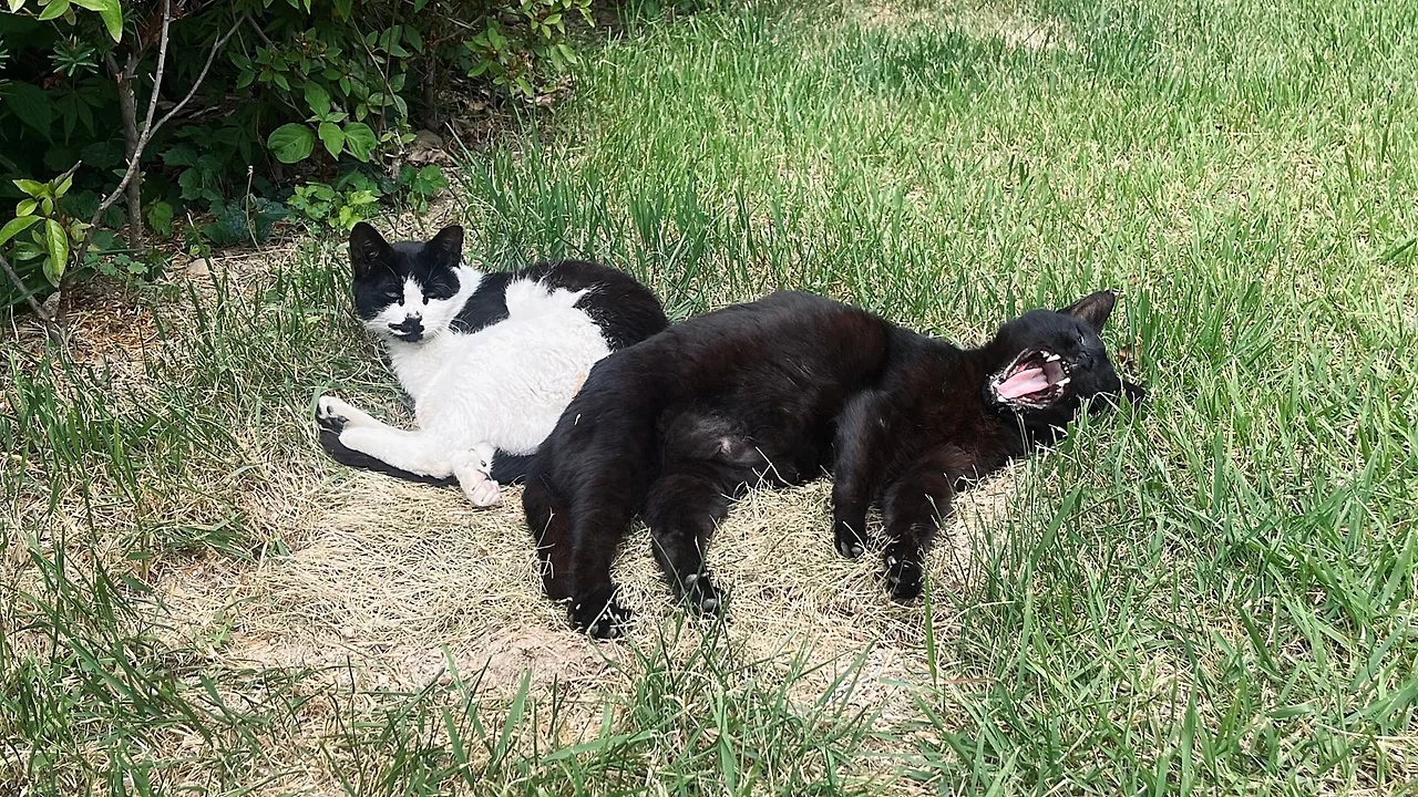 SE-01ab03ec-1a73-48d5-b87f-fd0292496c4c.jpg?type=w1600