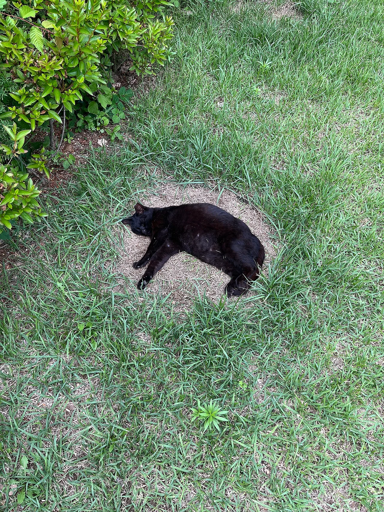 IMG%EF%BC%BF6708.jpg?type=w1600