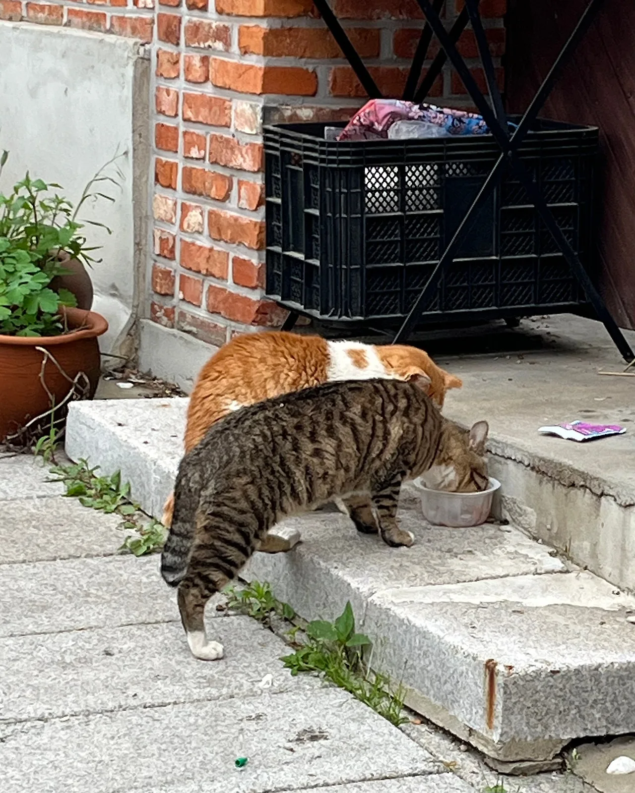 IMG%EF%BC%BF4291.jpg?type=w1600