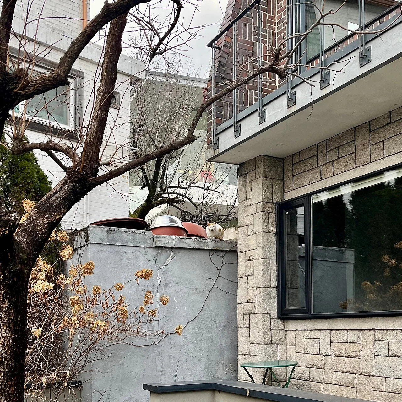 IMG%EF%BC%BF9292.jpg?type=w1600