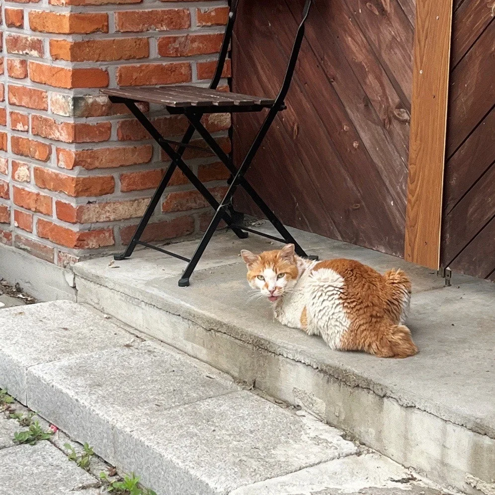 output%EF%BC%BF3108388943.jpg?type=w1600