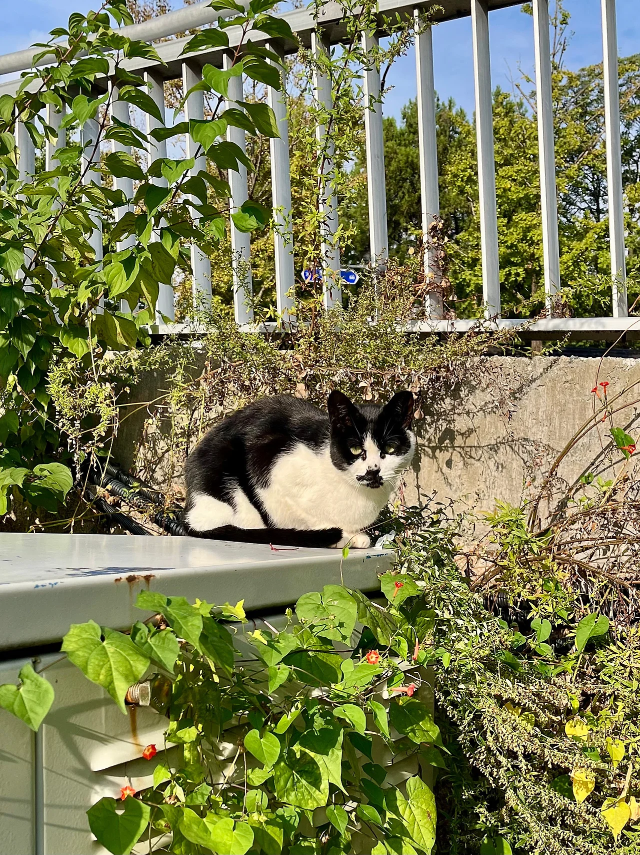 IMG%EF%BC%BF3443.jpg?type=w1600