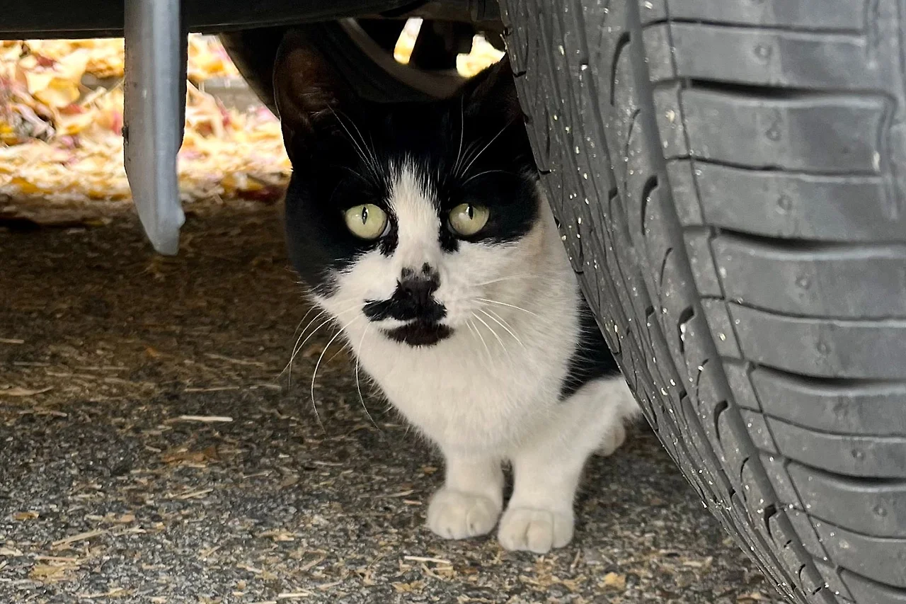 SE-46A44C23-535A-4289-83A4-3DE77D0AF72D.jpg?type=w1600