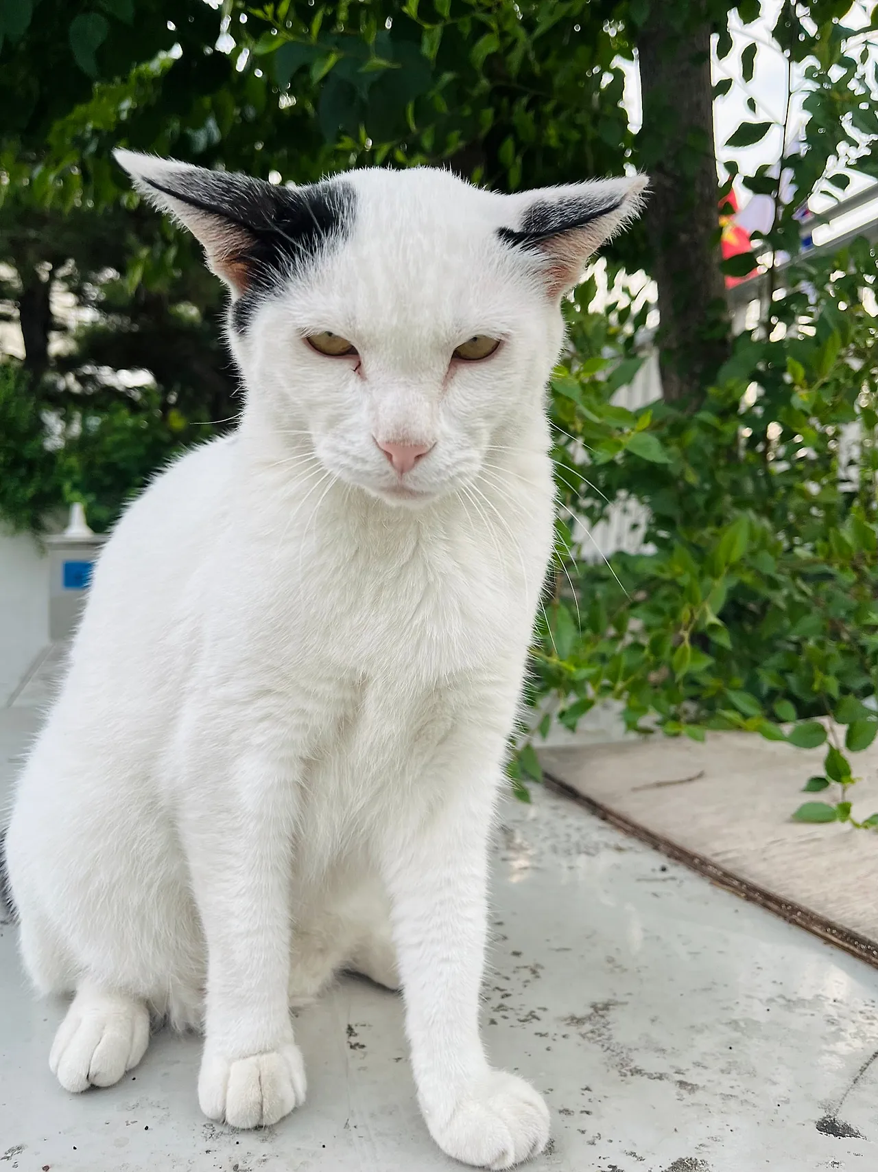 IMG%EF%BC%BF9952.jpg?type=w1600