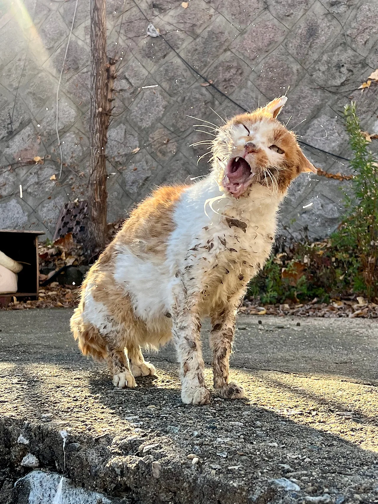 IMG%EF%BC%BF8894.jpg?type=w1600