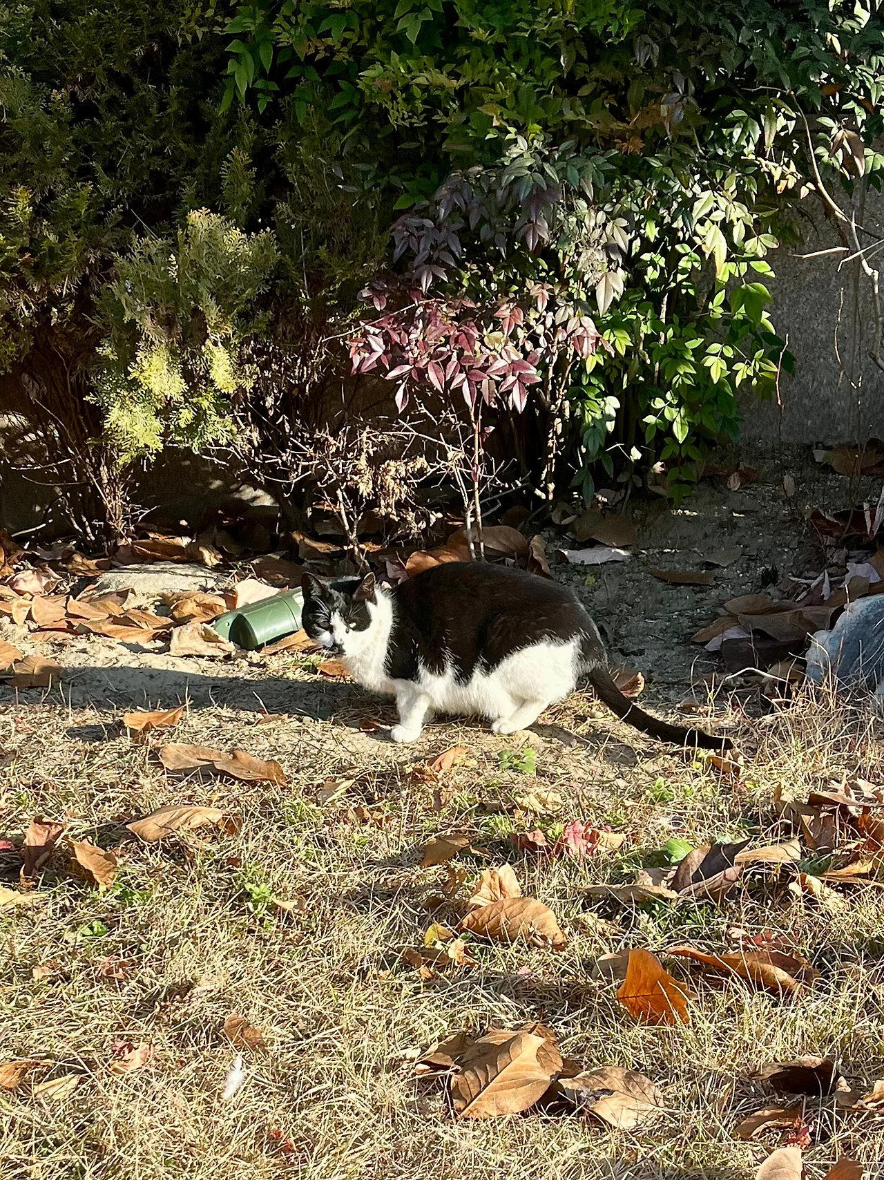 IMG%EF%BC%BF8939.jpg?type=w1600