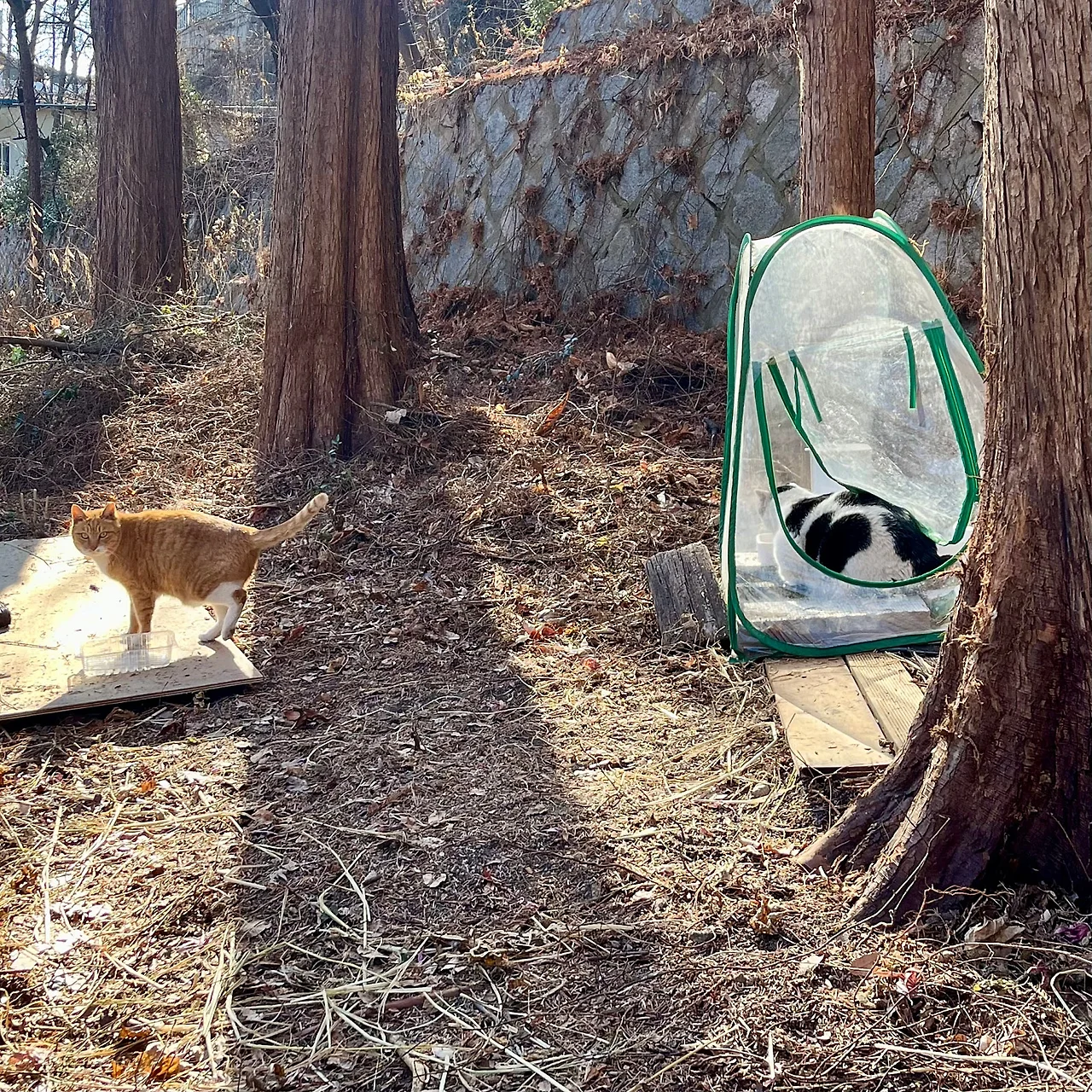 IMG%EF%BC%BF0990.jpg?type=w1600