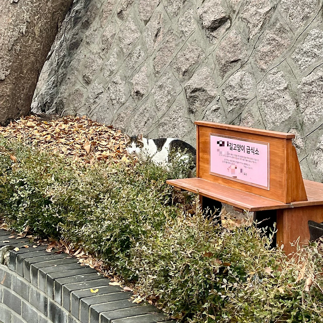 IMG%EF%BC%BF9685.jpg?type=w1600